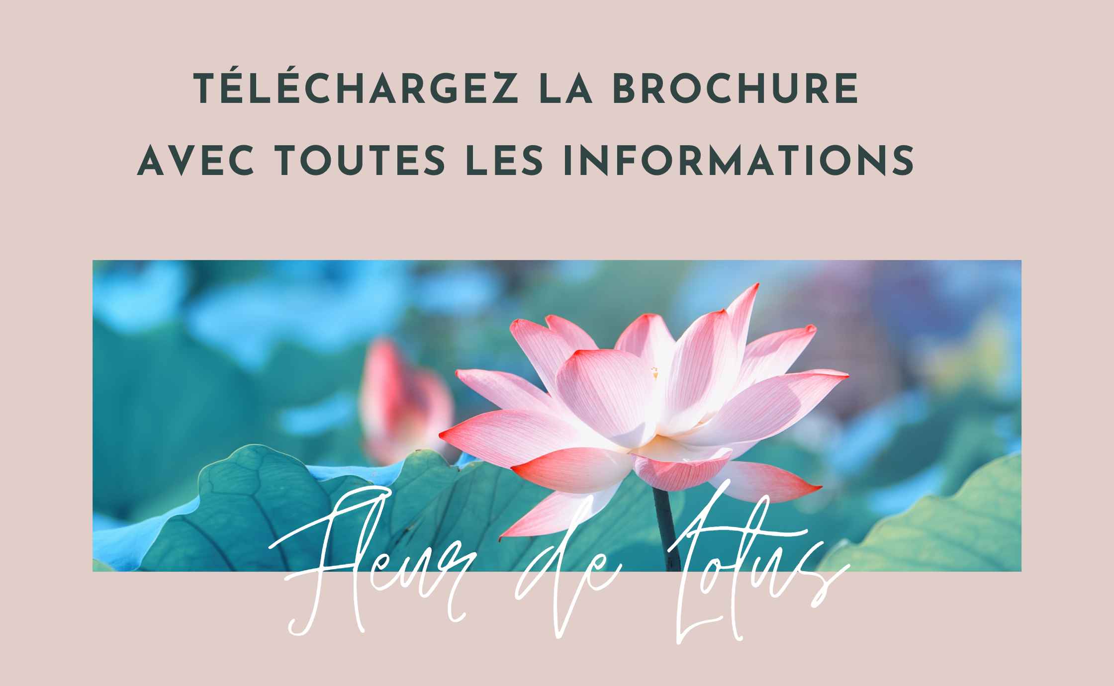 accompagnement